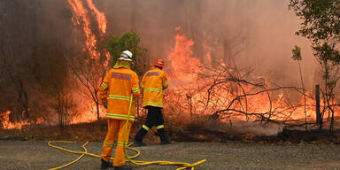 Waldbrände AUstralien Buschfeuer