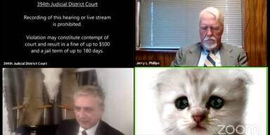 20210210_66_518606_y2matecom_-_TX_Attorney_cant_remove_cat_filter_in_zoom_court_hearing_1080p.jpg