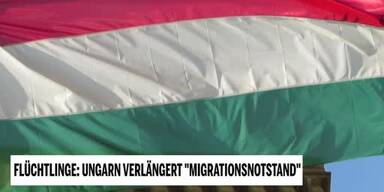 20210904_66_575828_210904_XX_Ungarn_Migrationsnotstand_verlaengert.jpg