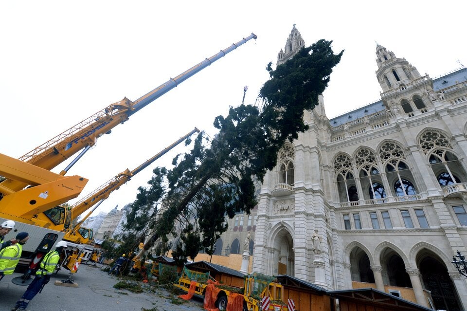 Christbaum Rathausplatz