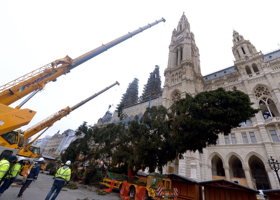 Christbaum Rathausplatz