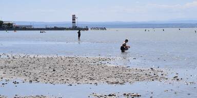 Umweltschützer warnen vor Donau-Wasser im Neusiedler See