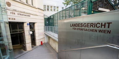 Wien-Anschlag: Prozess gegen Terror-Netzwerk eröffnet