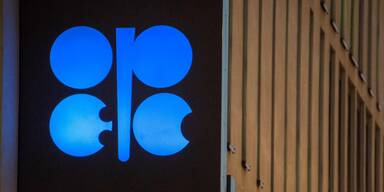 Das Logo der OPEC