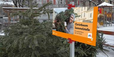 Wie werden Sie Ihren Christbaum los