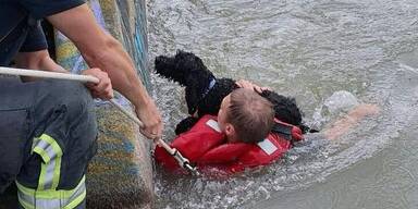 feuerwehr hund gerettet