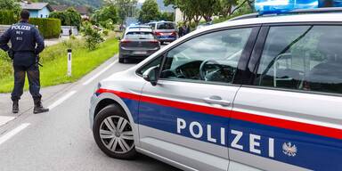 Vier Polizisten bei wilder Verfolgungsjagd verletzt