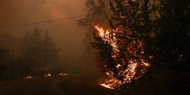 Marathon Waldbrand