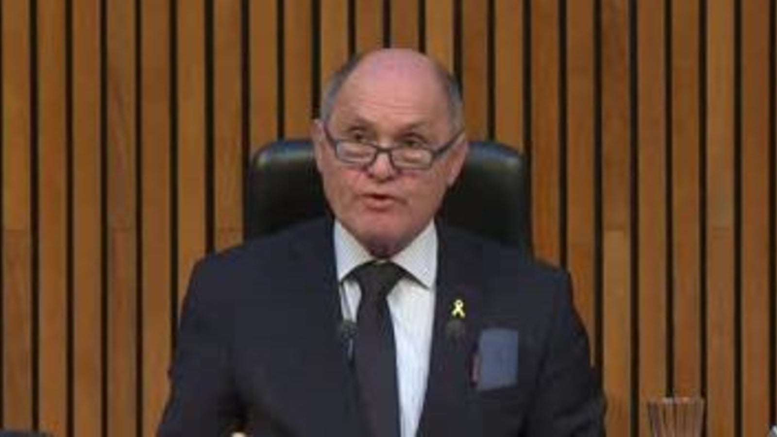 Walter Rosenkranz zum neuen NRPräsidenten gewählt oe24.tv