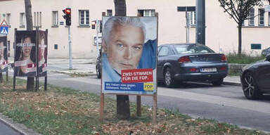 Kubicki FDP Plakate in Österreich