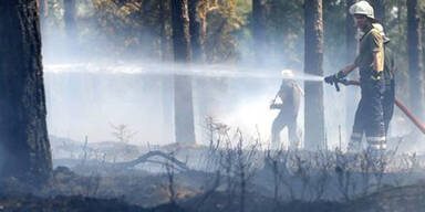 250 Feuerwehrleute bekämpften Waldbrand