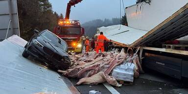 Schwein auf der Autobahn