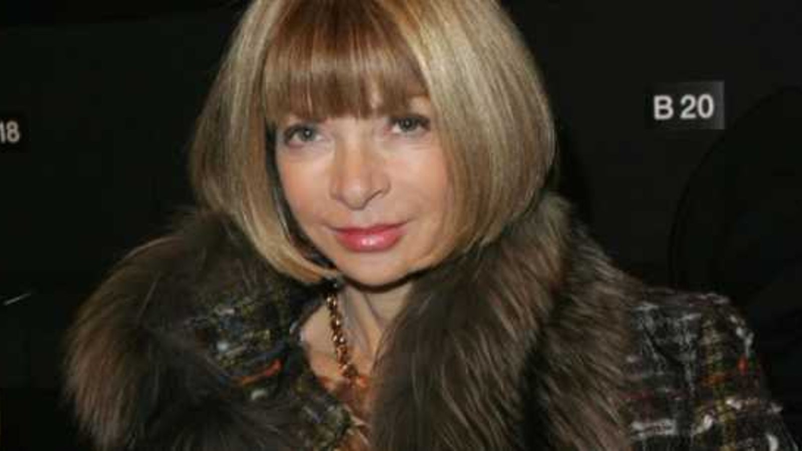 Anna Wintour: Die teuflische Doku - madonna24.at