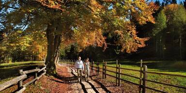 Ehepaar auf Herbstspaziergang