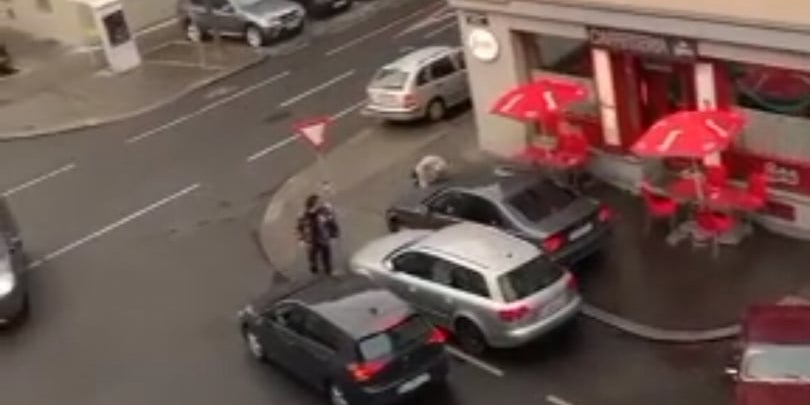 Verfolgungsjagd: Lenker crasht in Wien in Fußgänger