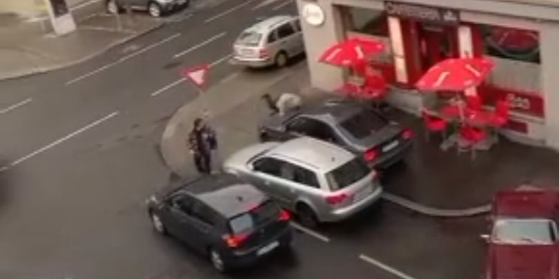 Verfolgungsjagd: Lenker crasht in Wien in Fußgänger