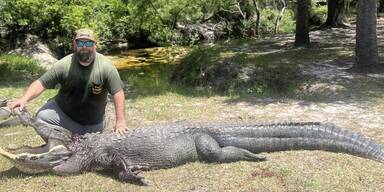 Heldenhafte Rettung: Mann befreit Hund aus Alligatormaul