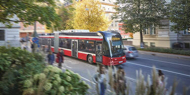 Bus Salzburg