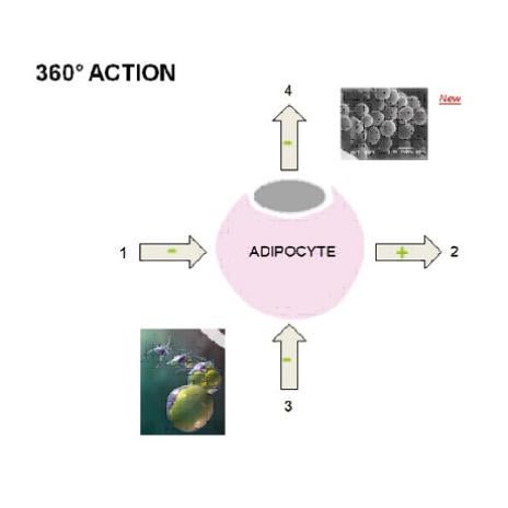 360Aktion
