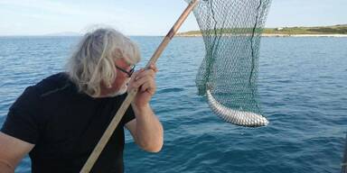 Giftigster Fisch der Welt in der Adria: Lebensgefahr für Urlauber?