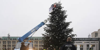 Aktivsten kürzen Weihnachtsbaum am Brandenburger Tor