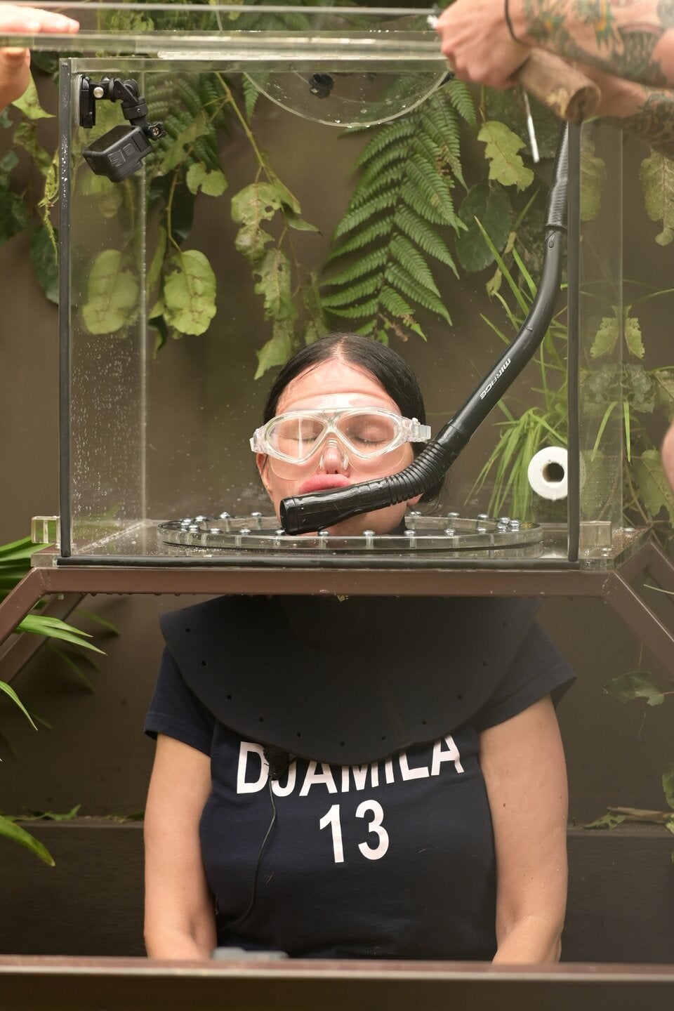 Dschungelcamp 2023