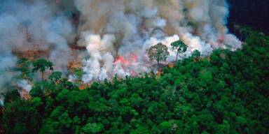 amazonas