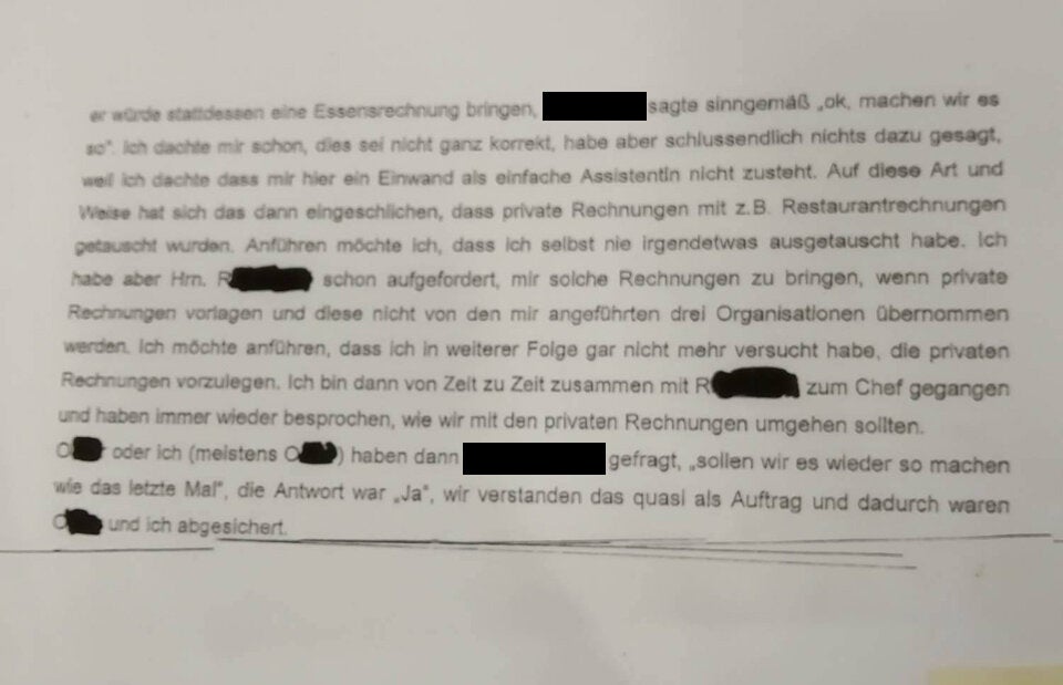 Strache: 'Angst meiner Gegner unermesslich groß'