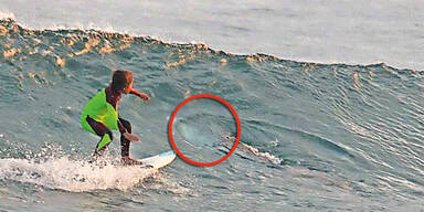 10-Jähriger surft Hai über den Kopf