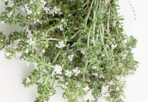 Winterbäder Rezepte
