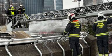 Brand Donauinsel