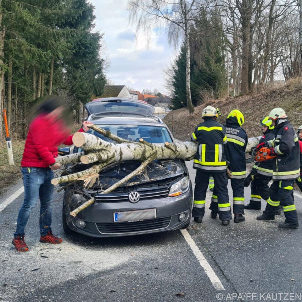 Böen entwurzelten Baum im Bezirk Waidhofen an der Thaya.