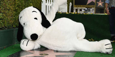 Snoopy erhielt Stern am Hollywood "Walk of Fame"
