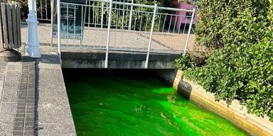 wörtersee zufluss grün