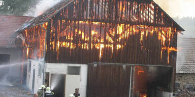 Feuer-Inferno: Zehn Kühe aus brennender Scheune gerettet