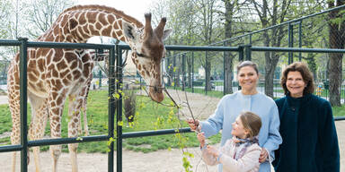 Schwedische Königsfamilie besuchte Tiergarten Schönbrunn