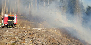 Trockenheit: Waldbrand im Dezember