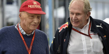 Niki Lauda Helmut Marko