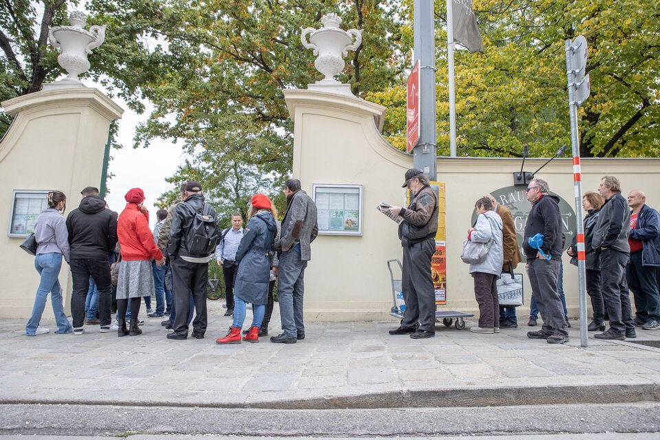 Statt Wahlplakate: Wallentin verschenkt Brennholz