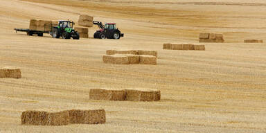EU will mehr Mittel für Agrarmärkte erschließen