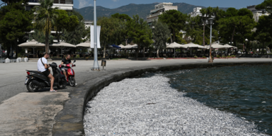 Volos