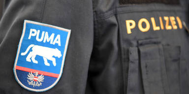 Wirbel: Kickls "Puma"-Logo kam von FP-naher Agentur