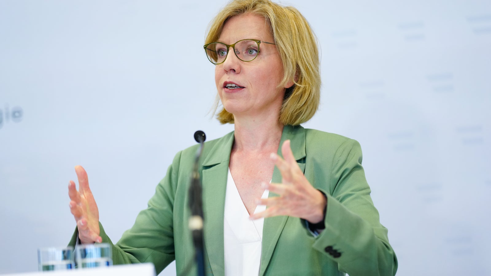 GewesslerAbfuhr für S34 oe24.at