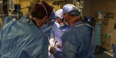 Ärzte setzen erstmals Patient Schweineniere ein