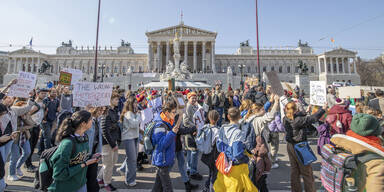 25.000 Menschen bei ''Fridays For Future''-Klimastreik in Wien