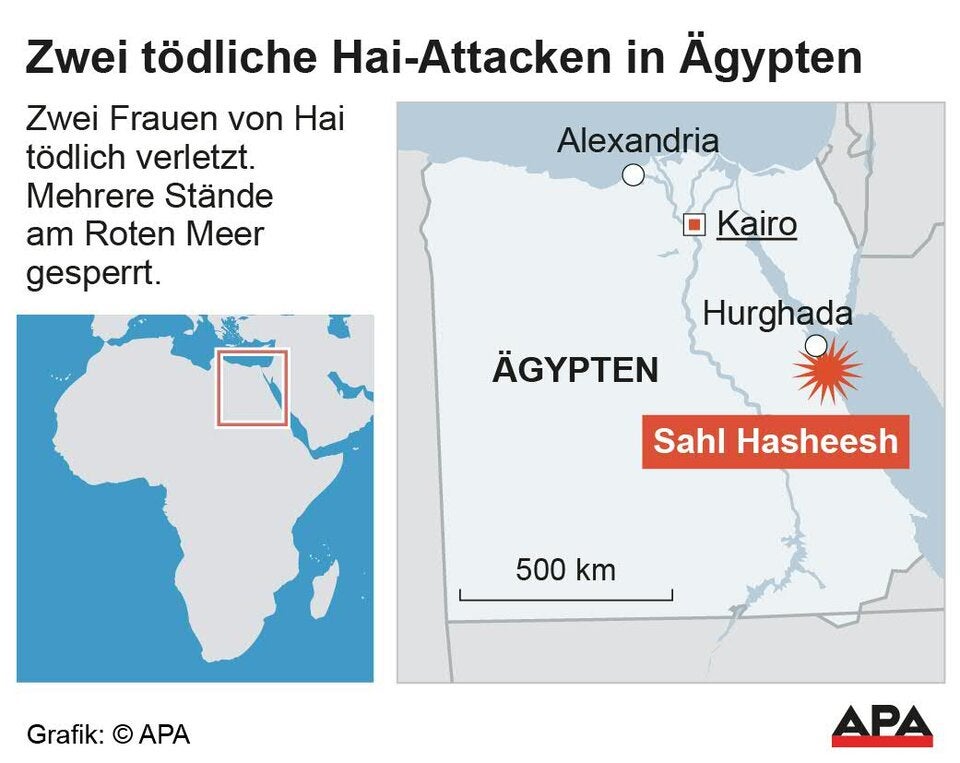 Zweite tödliche Hai-Attacke nahe Hurghada