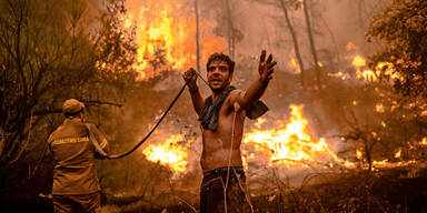 Griechenland: 90.000 Hektar Land verbrannt