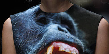 Brüllende Gorillas für Fashion-Victims