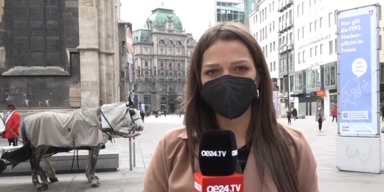 Anna Chiara Schreyer Masken Stephansdom