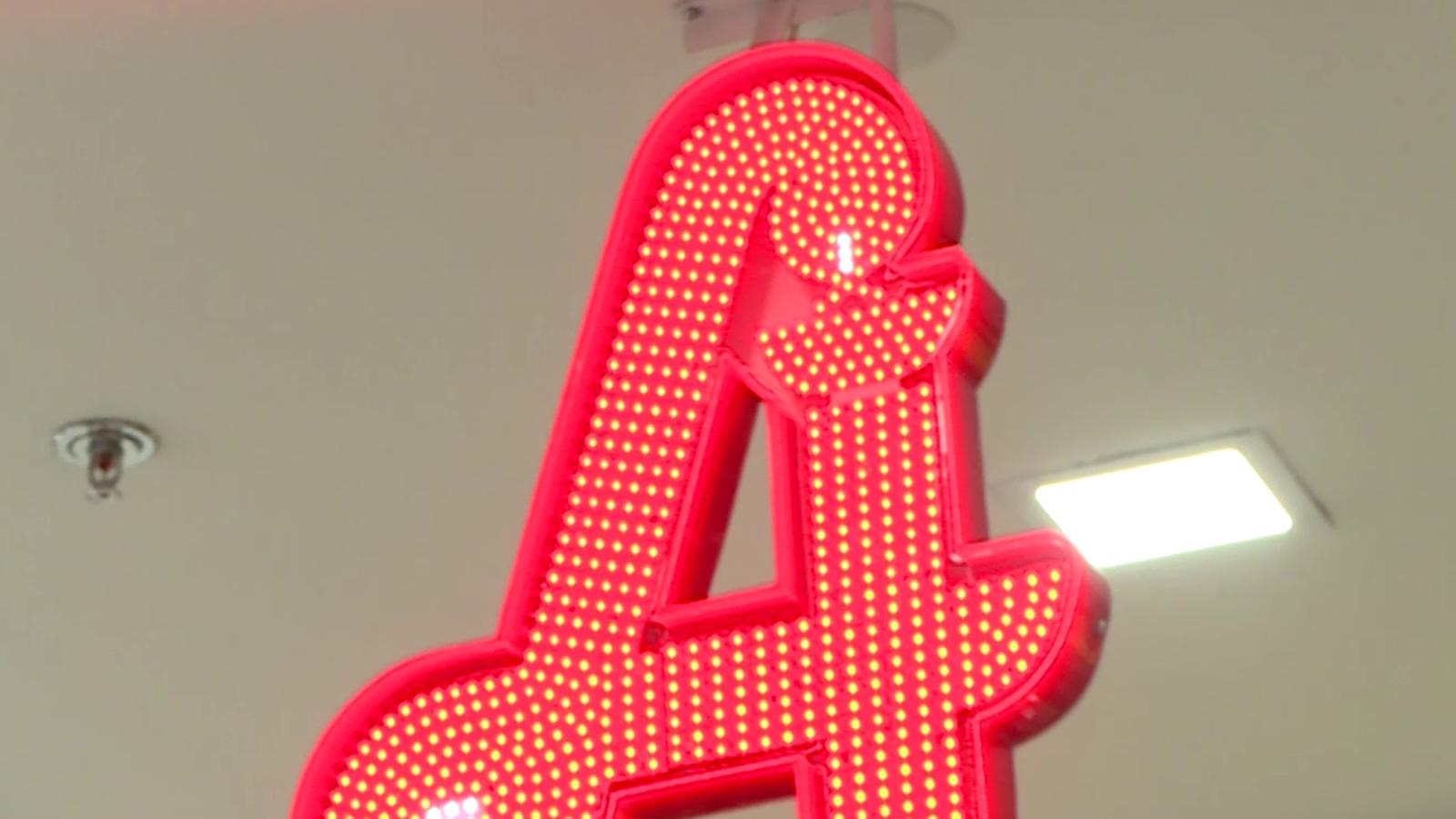 Apothekengesetz wird reformiert PolitikLive